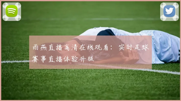 雨燕直播高清在线观看：实时足球赛事直播体验升级