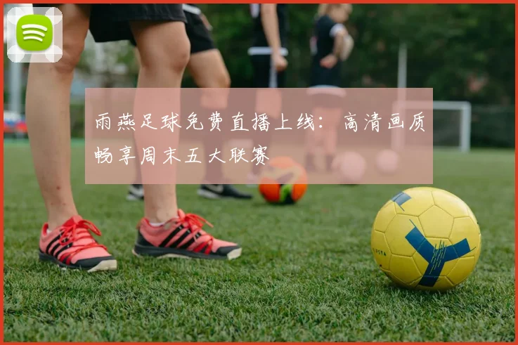 雨燕足球免费直播上线：高清画质畅享周末五大联赛