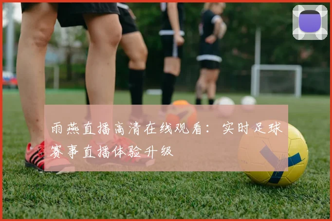 雨燕直播高清在线观看：实时足球赛事直播体验升级