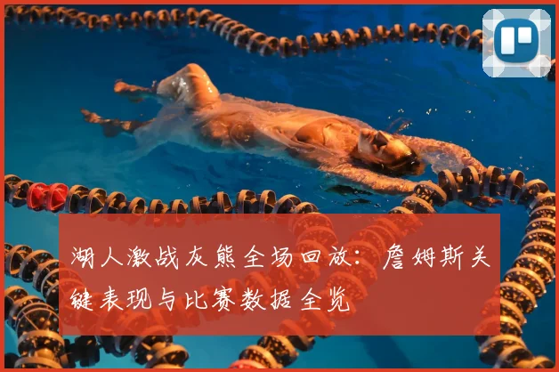 湖人激战灰熊全场回放：詹姆斯关键表现与比赛数据全览